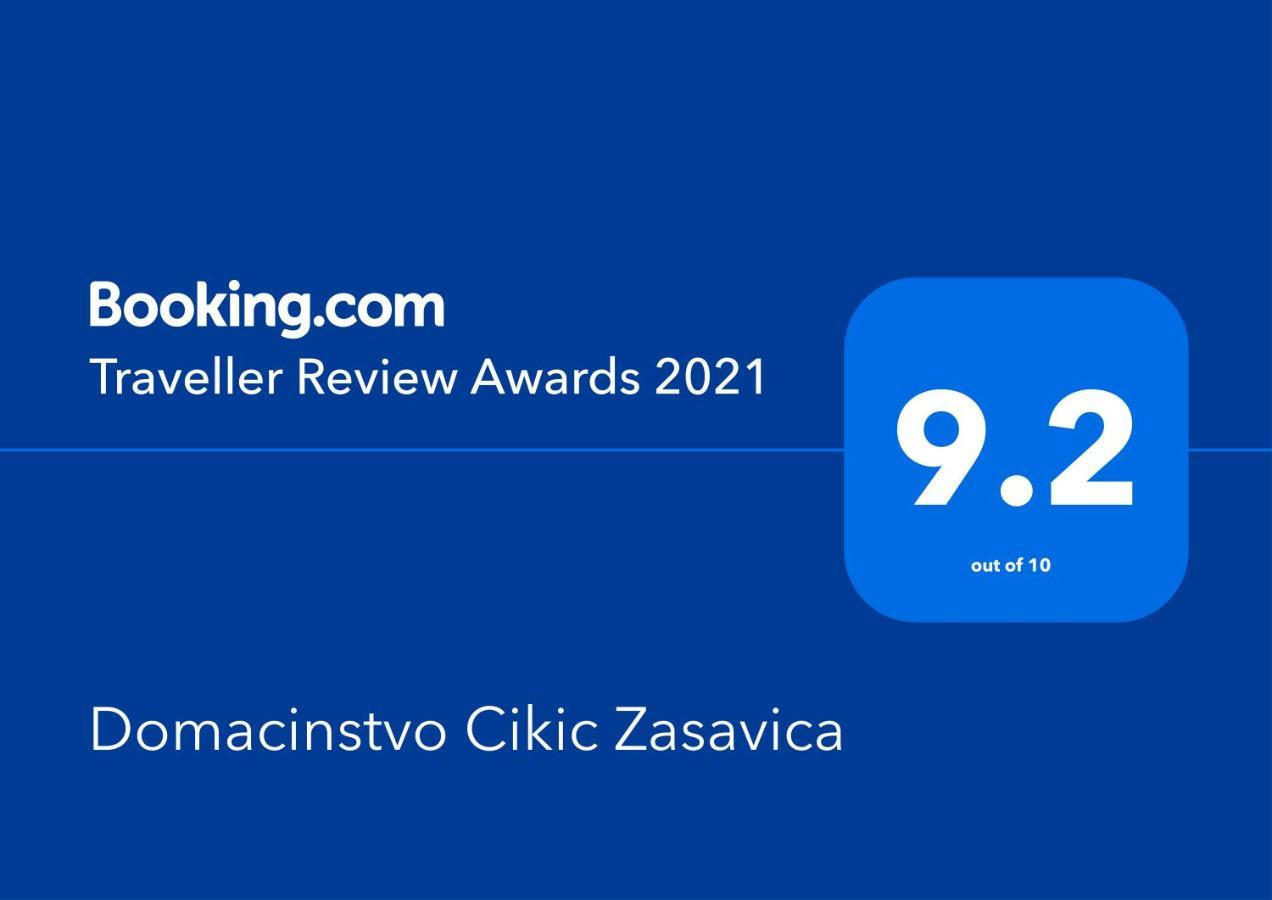 Гостевой дом Domacinstvo Cikic Zasavica Экстерьер фото